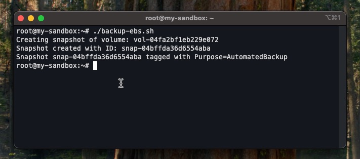 screenshot showing output of EBS automation on terminal