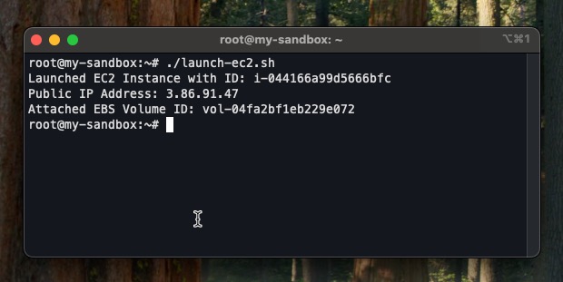 screenshot showing output of EC2 automation on terminal