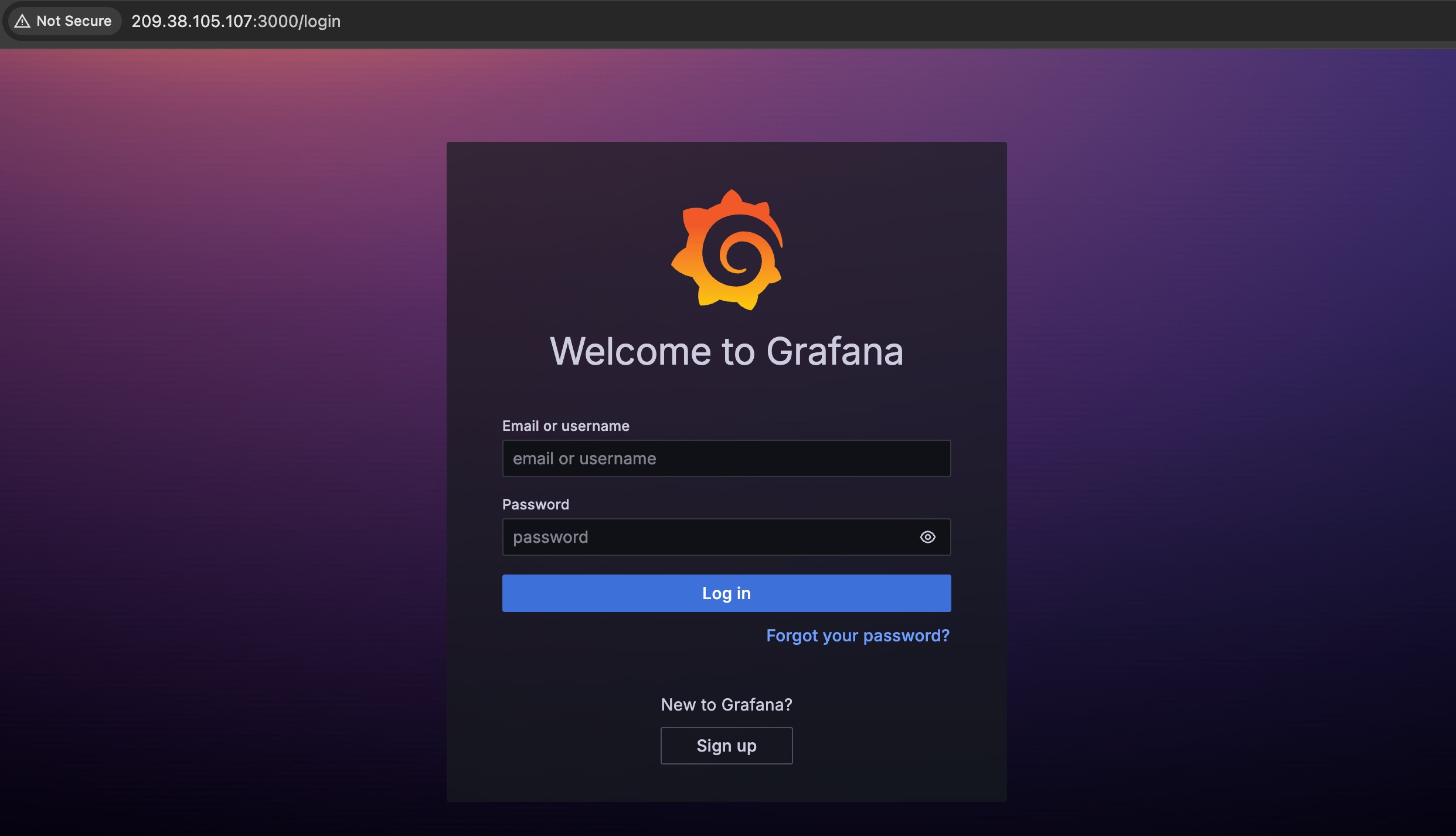 Screenshot of the output on the browser