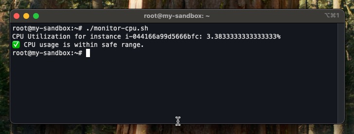 screenshot showing output of EBS automation on terminal