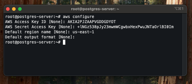 screenshot showing configured CLI