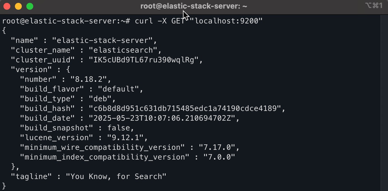 successful check of Elasticsearch