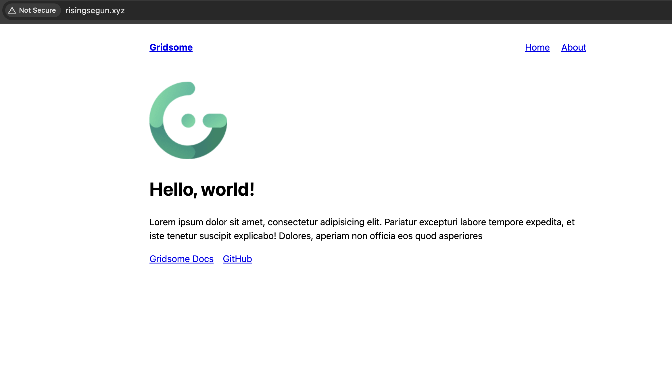 Screenshot showing Gridsome Site running