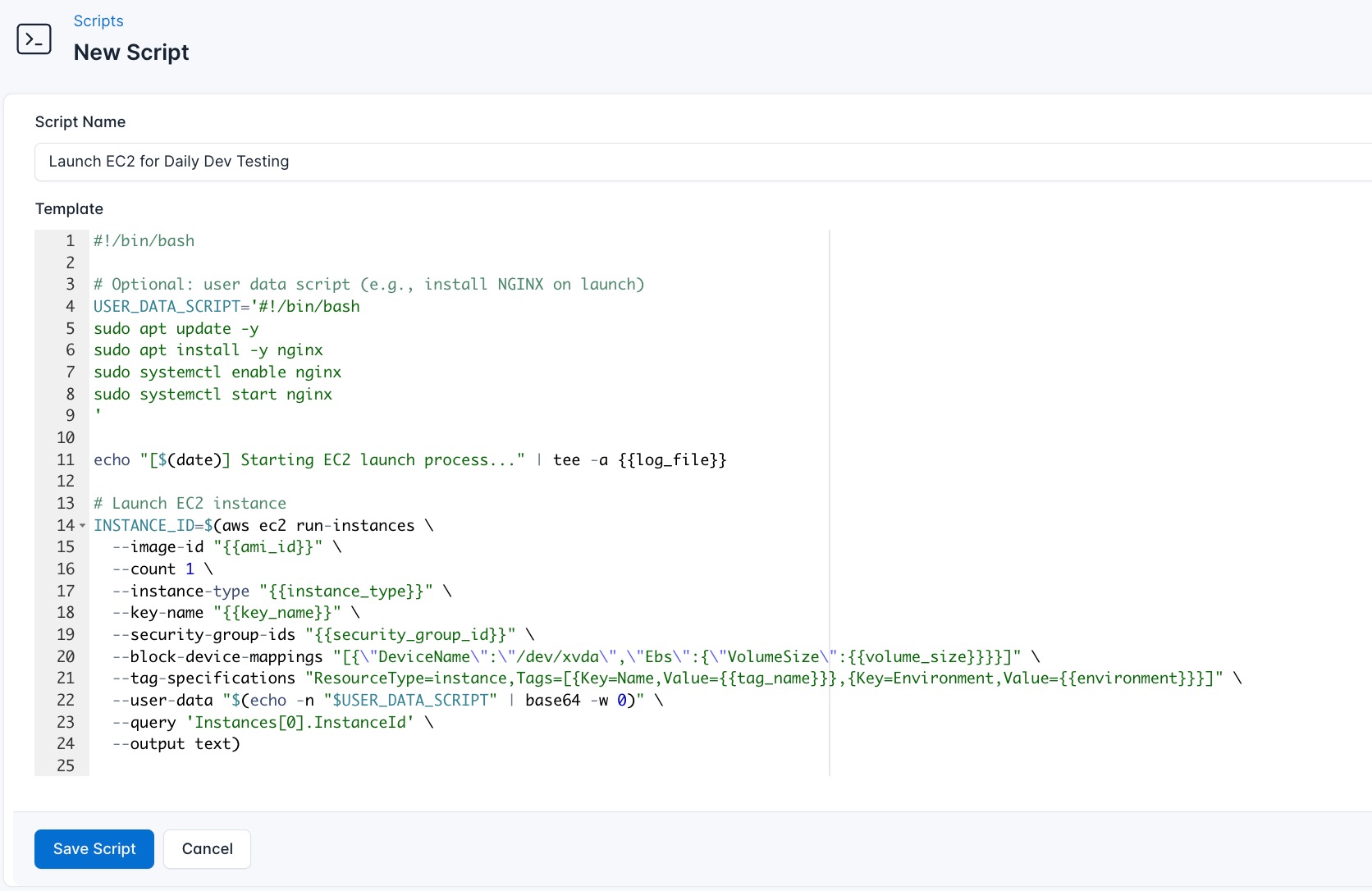 screenshot showing script creation in CloudRay