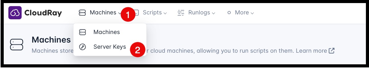 Screenshot for locating Server key on CloudRay's interface