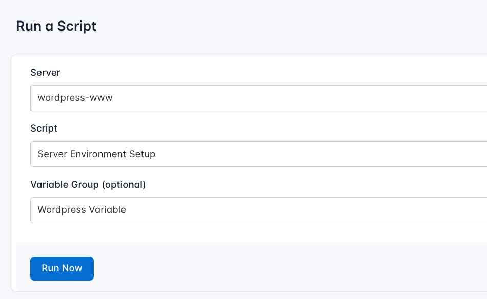 screenshot of creating the setup runlog